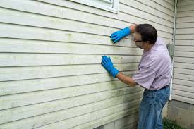 Best Siding Painting and Refinishing  in Lakeview, MI